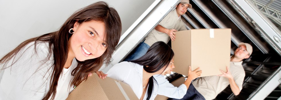 Professional Removalists Point Wilson